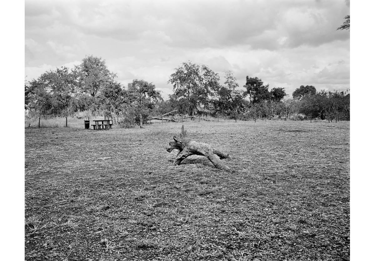  - A picnic place, Kruger National Park, 2015