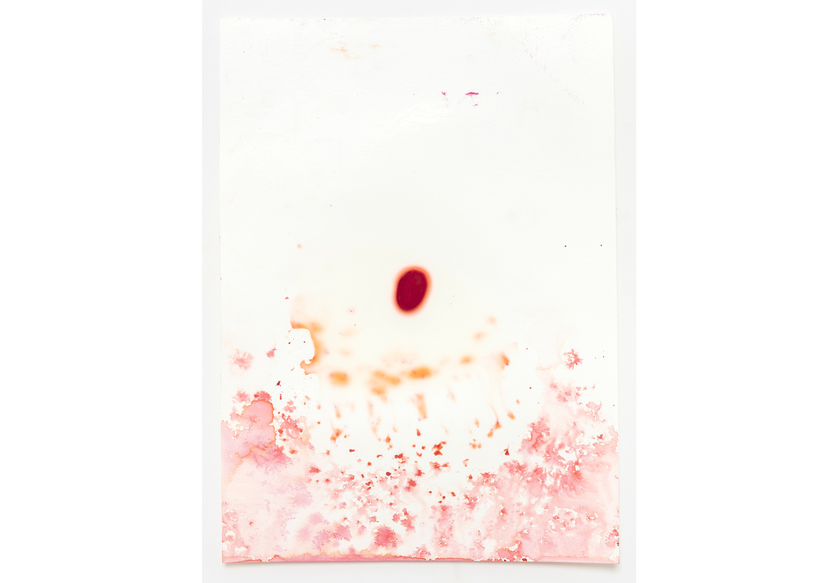  - Warm Waters [65], 2018-19