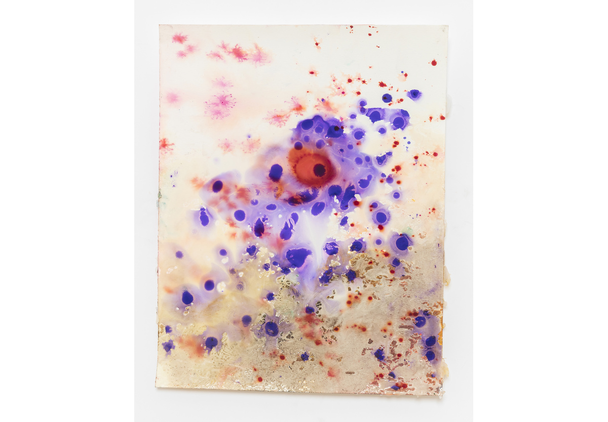  - Warm Waters XII, 2018-19