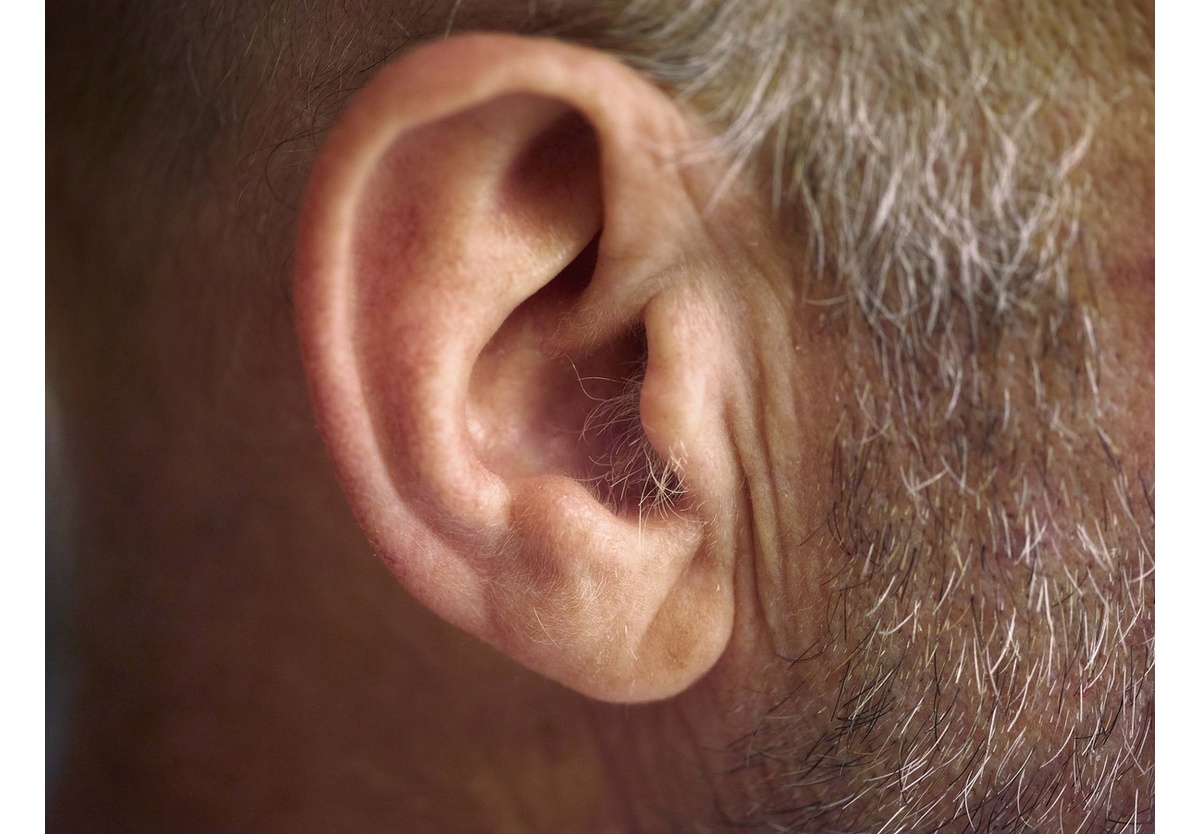 Pieter Hugo - Lawrence’s ear, Nature’s Valley, 2015