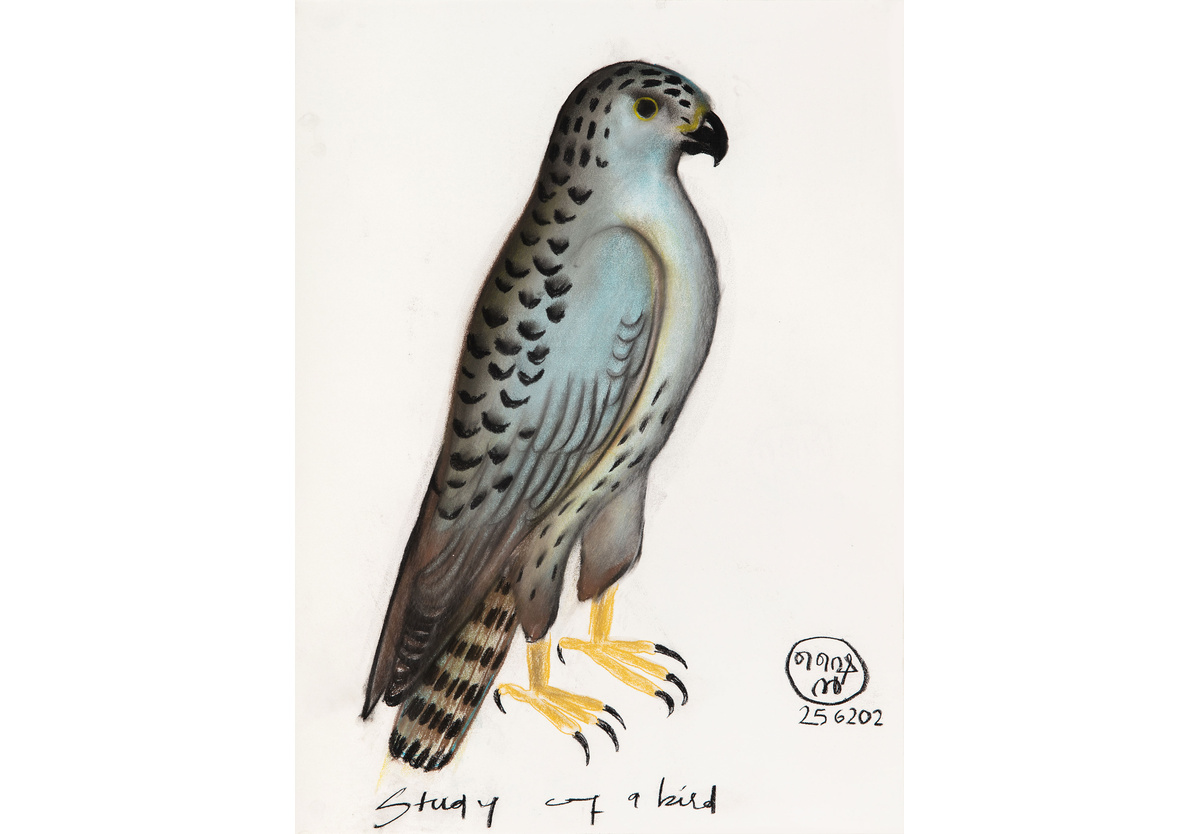 Shine Shivan - Study of a bird, 2019-22