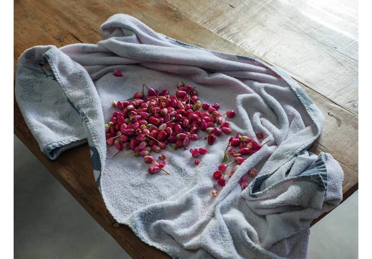 Pieter Hugo - Brush cherries, Nature’s Valley, 2020