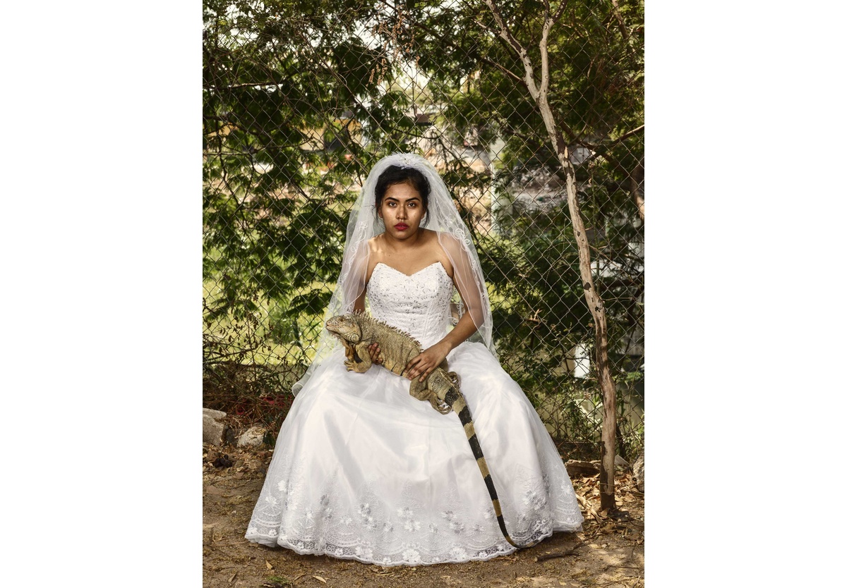  - The wedding gift. Juchitán de Zaragoza, 2018, 