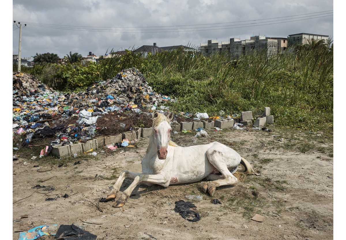 Pieter Hugo - If you want to ride, don’t ride the white horse, Atican Beach, Lagos, 2019