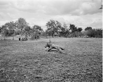 A picnic place, Kruger National Park
