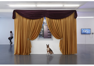 Installation view