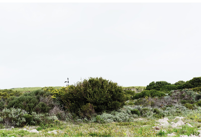 16: Gansbaai
