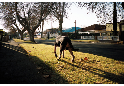 12: Bezuidenhout Valley