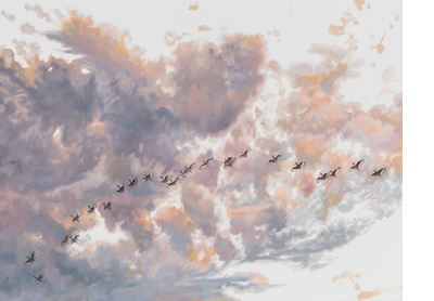 Flock