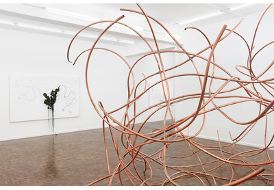 Installation view