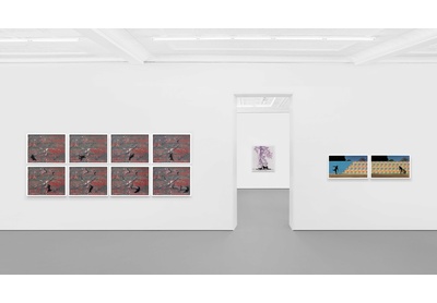 Installation view, Stevenson