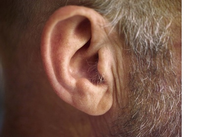 Lawrence’s ear, Nature’s Valley