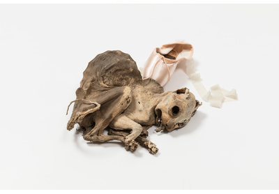 put your heart under your feet … and walk! (Vigour mortis)