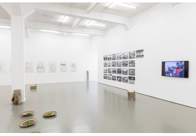 Installation view