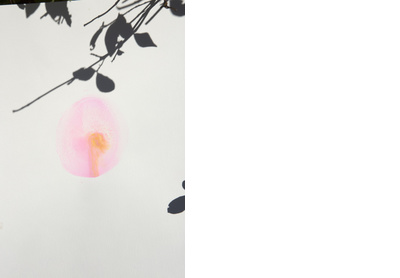 Untitled from Roxane II, 076
