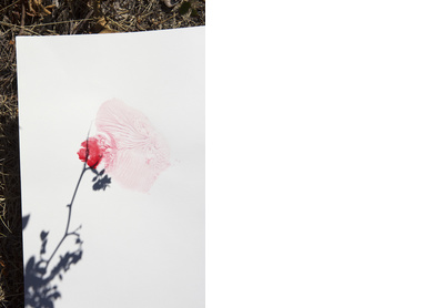 Untitled from Roxane II, 095