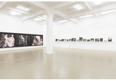 Installation view