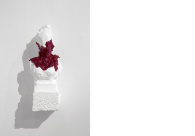 Untitled 8