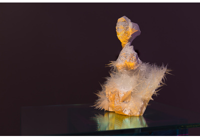 Untitled (Bloom 2)