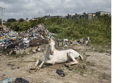 If you want to ride, don’t ride the white horse, Atican Beach, Lagos